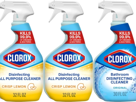 clorox all purpose